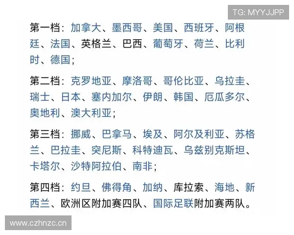 南非队世界杯A组赛后总结